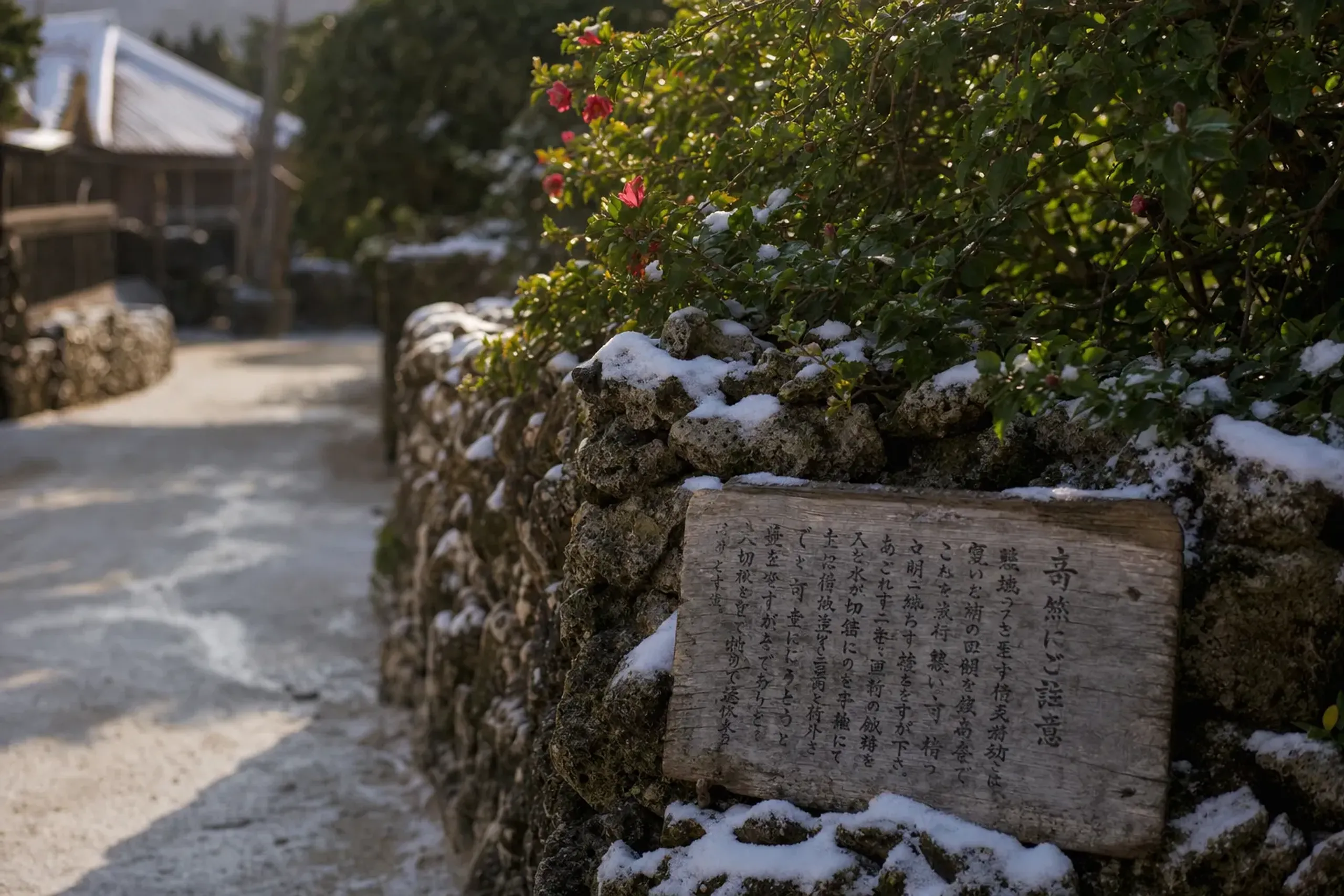 On Taketomi, town and tourism guidance emphasizes basic beha