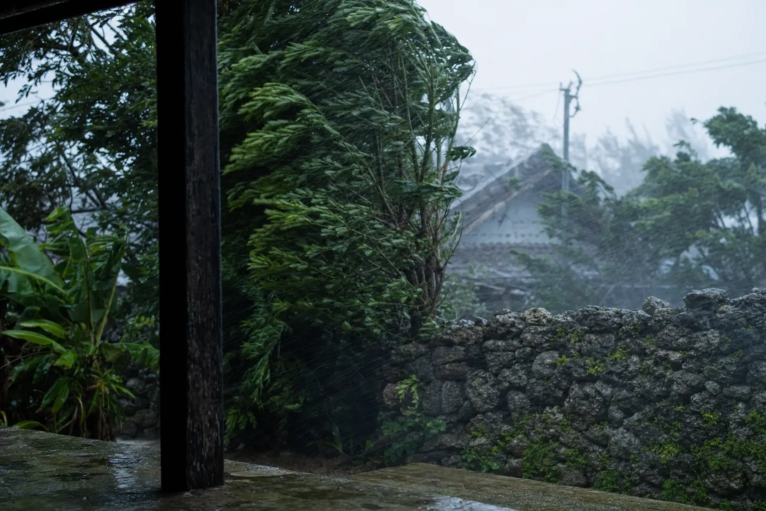 Rain and wind matter even more than the heat. Typhoon
