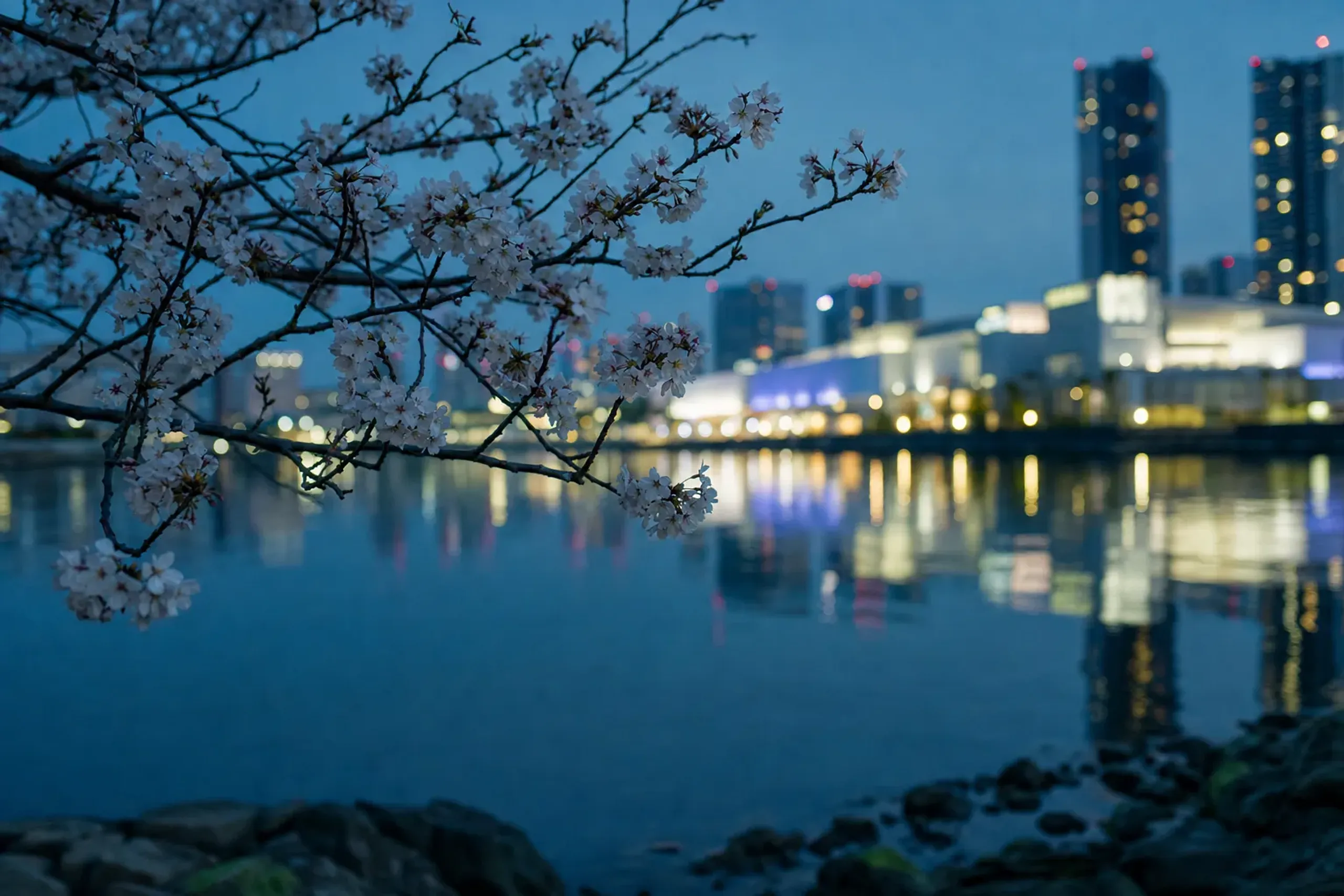 The Toyosu waterfront district of Tokyo at night, city lights reflected on the water near teamLab Planets