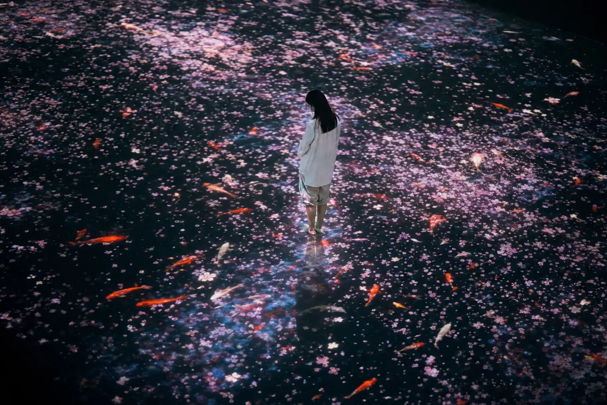 teamLab Borderless vs Planets vs Nabana no Sato
