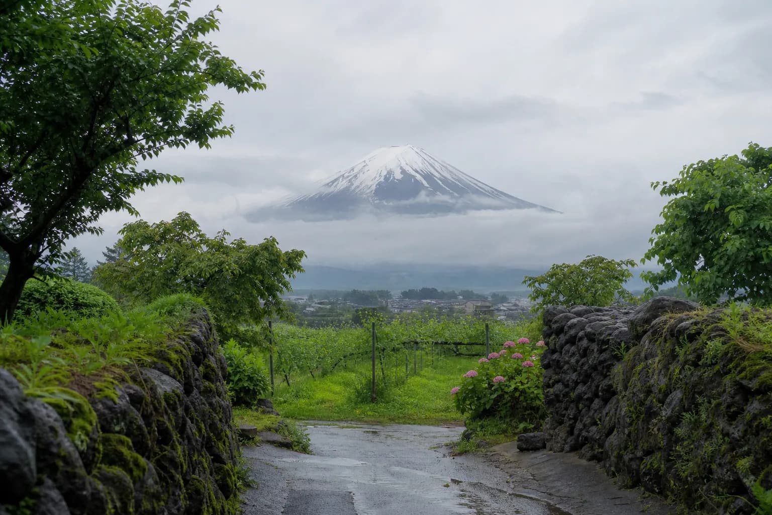 The Sommelier’s Choice: Premium Koshu Wine Days In Yamanashi With Japan Royal Service