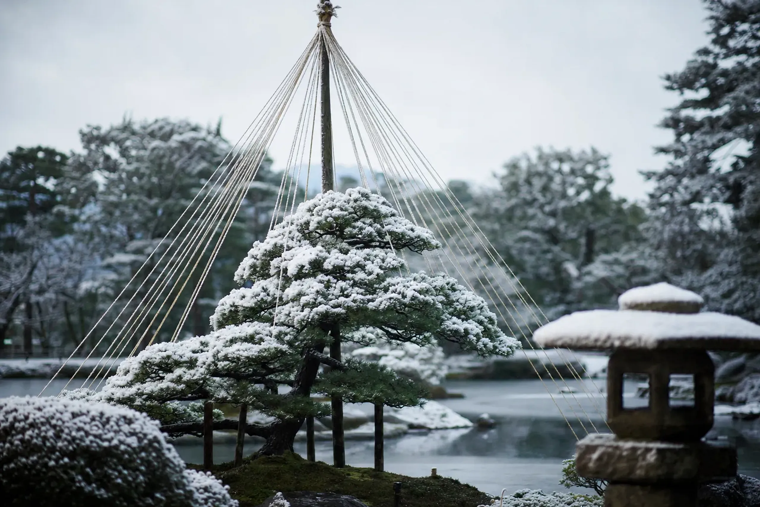 By tradition Kenrokuen is the garden of snow. Its most