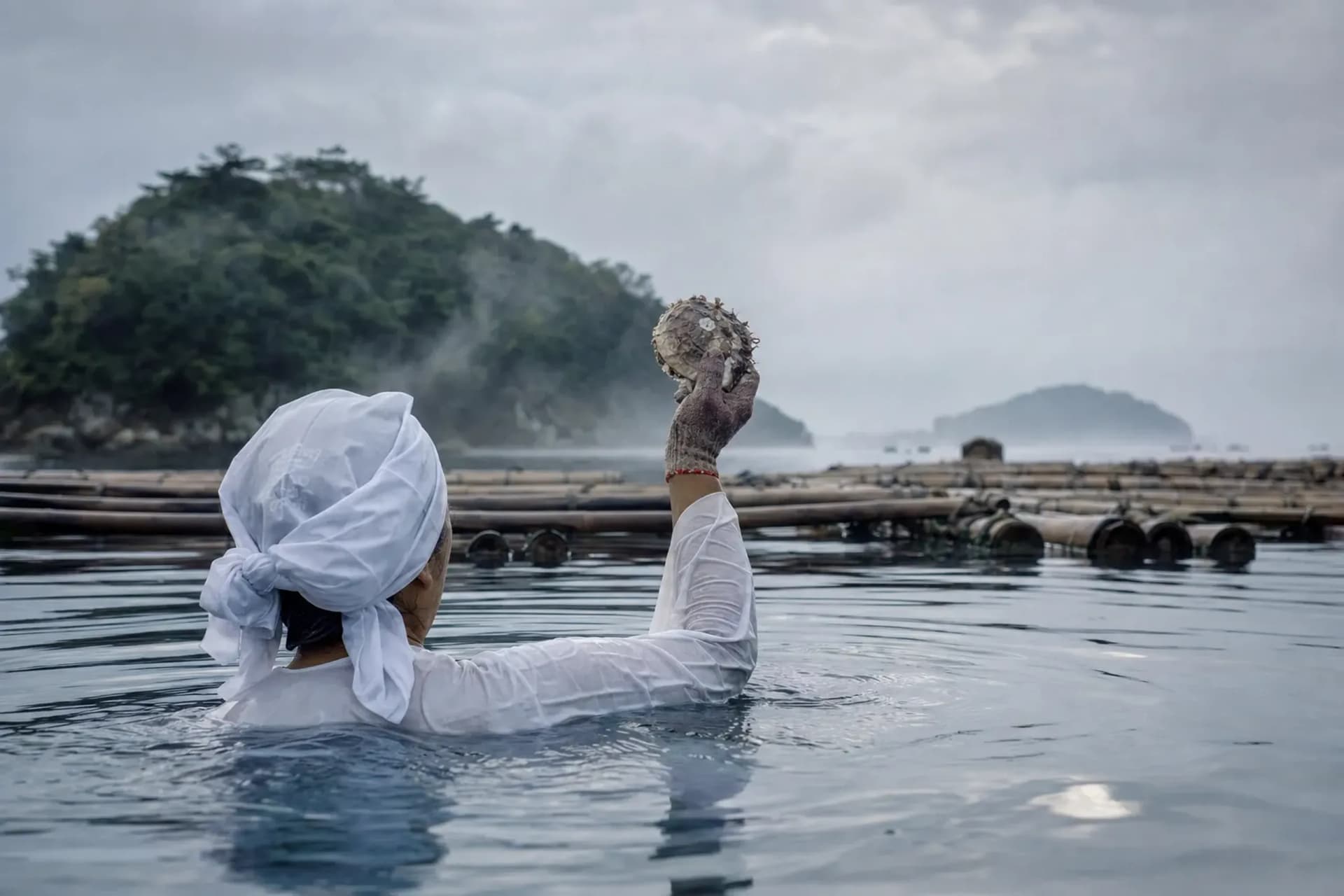 Toba And Shima: Pearls, Ama Divers, And The Coast Near Ise