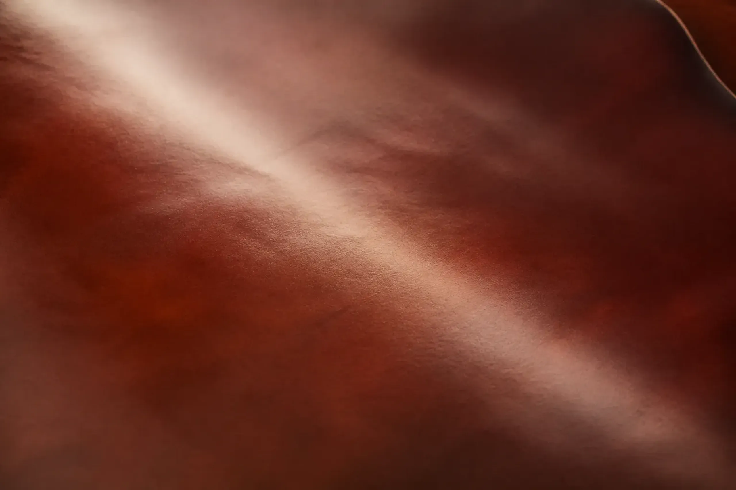 Close-up of glossy shell cordovan leather showing smooth grainless surface and deep sheen