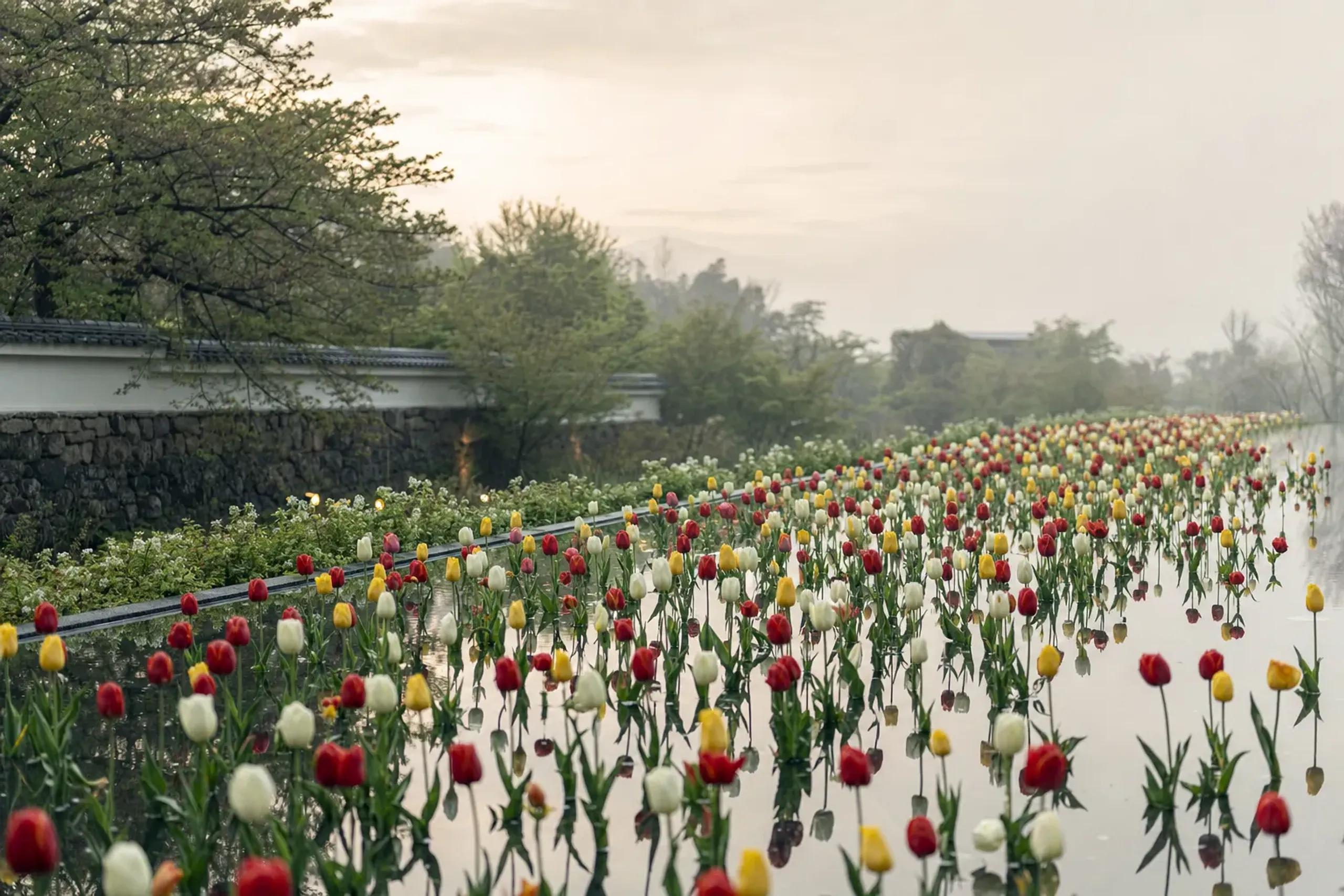 The suijō kadan floating flowerbed at Tonami Tulip Park, tulips arranged across a shallow water surface