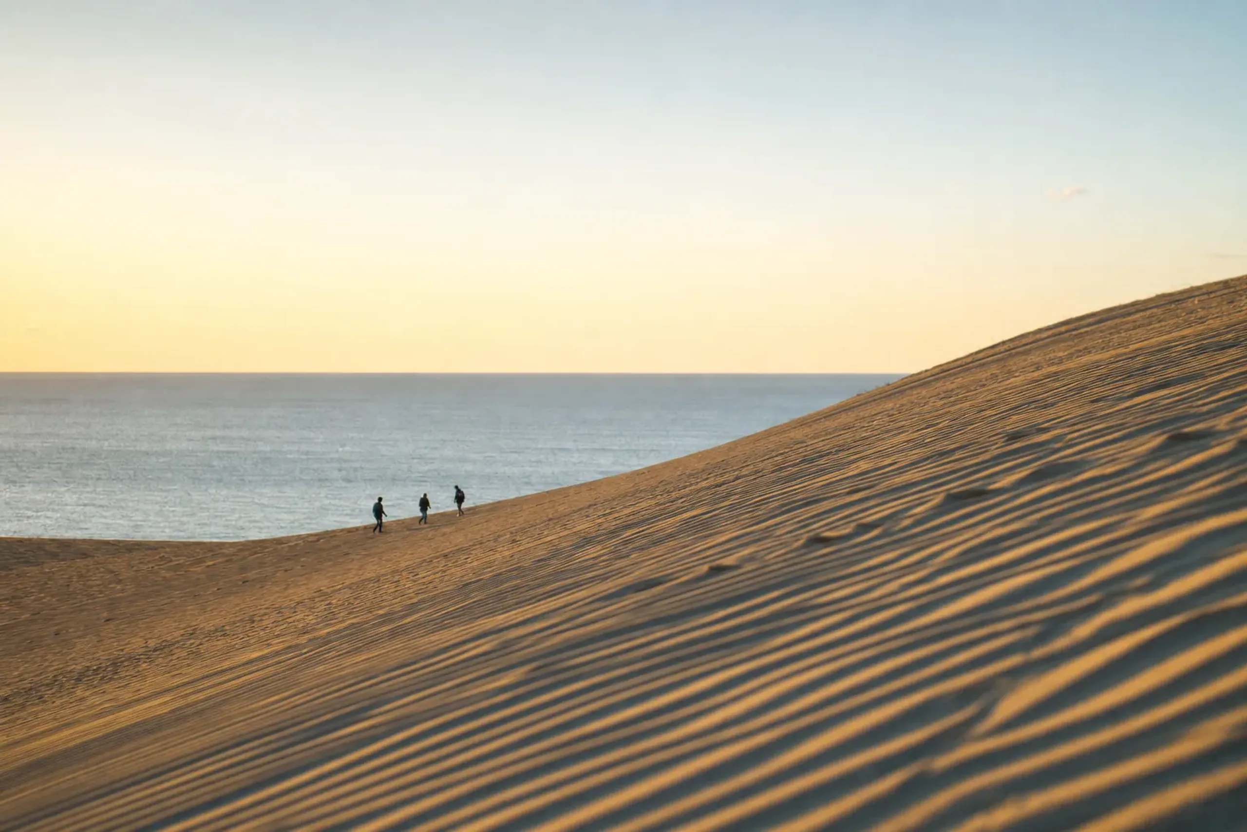 Ridge view over Tottori Sand Dunes with rippled sand and the Sea of Japan in the distance