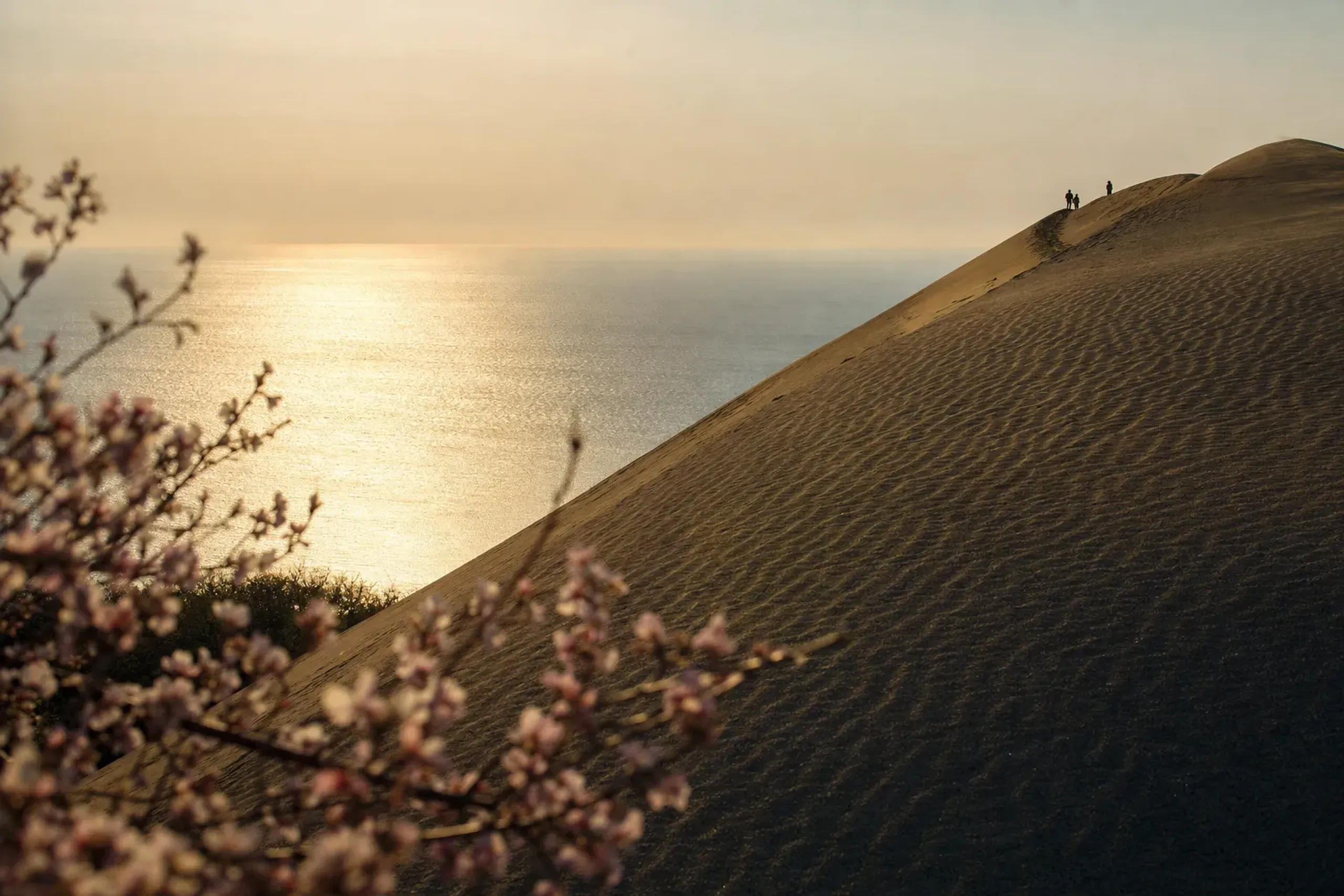 the towering Uma no Se 'Horse's Back' dune ridge rising above the metal-bright Sea of Japan