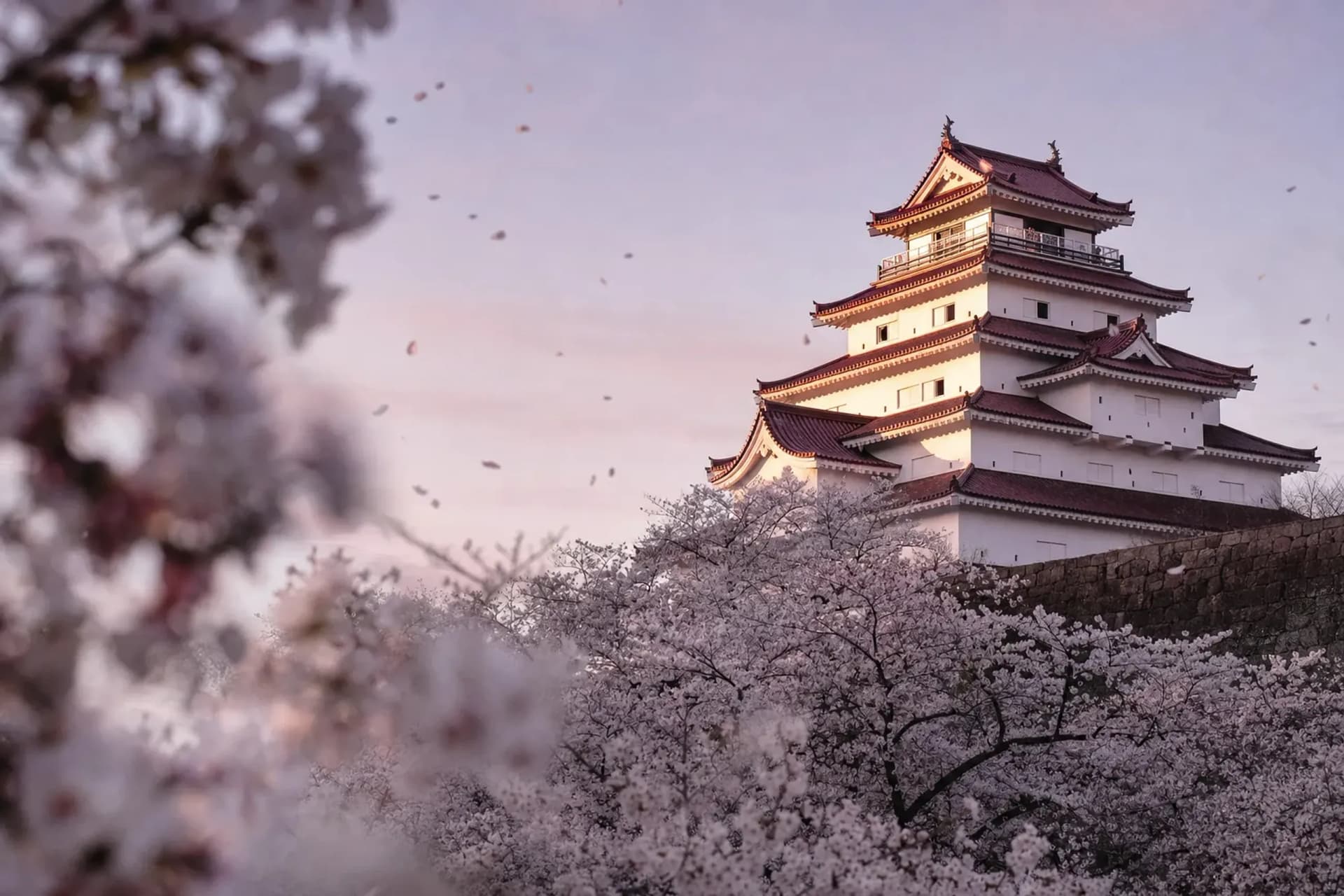 Tsuruga Castle: Aizu’s Red-Tiled Keep Among the Blossoms