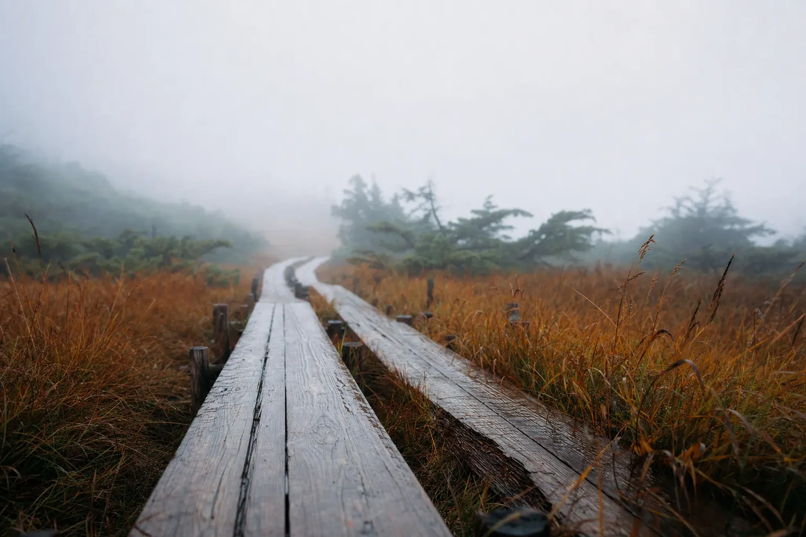 the high marshland boardwalk trails reached by the Mount Hakkōda Ropeway in Aomori amid drifting mist and turning grasses