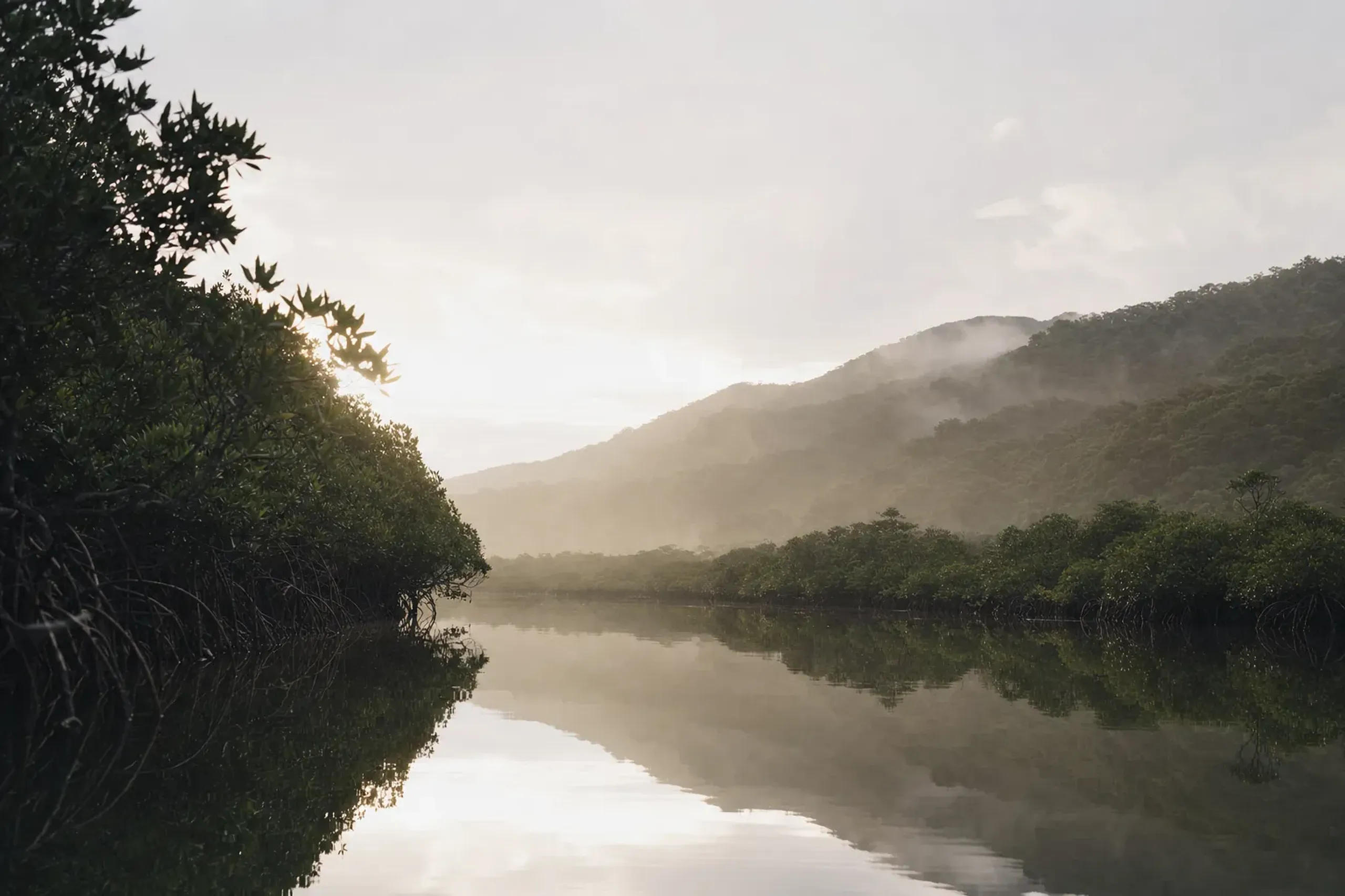 In July 2021, Iriomote Island was added to UNESCO’s World