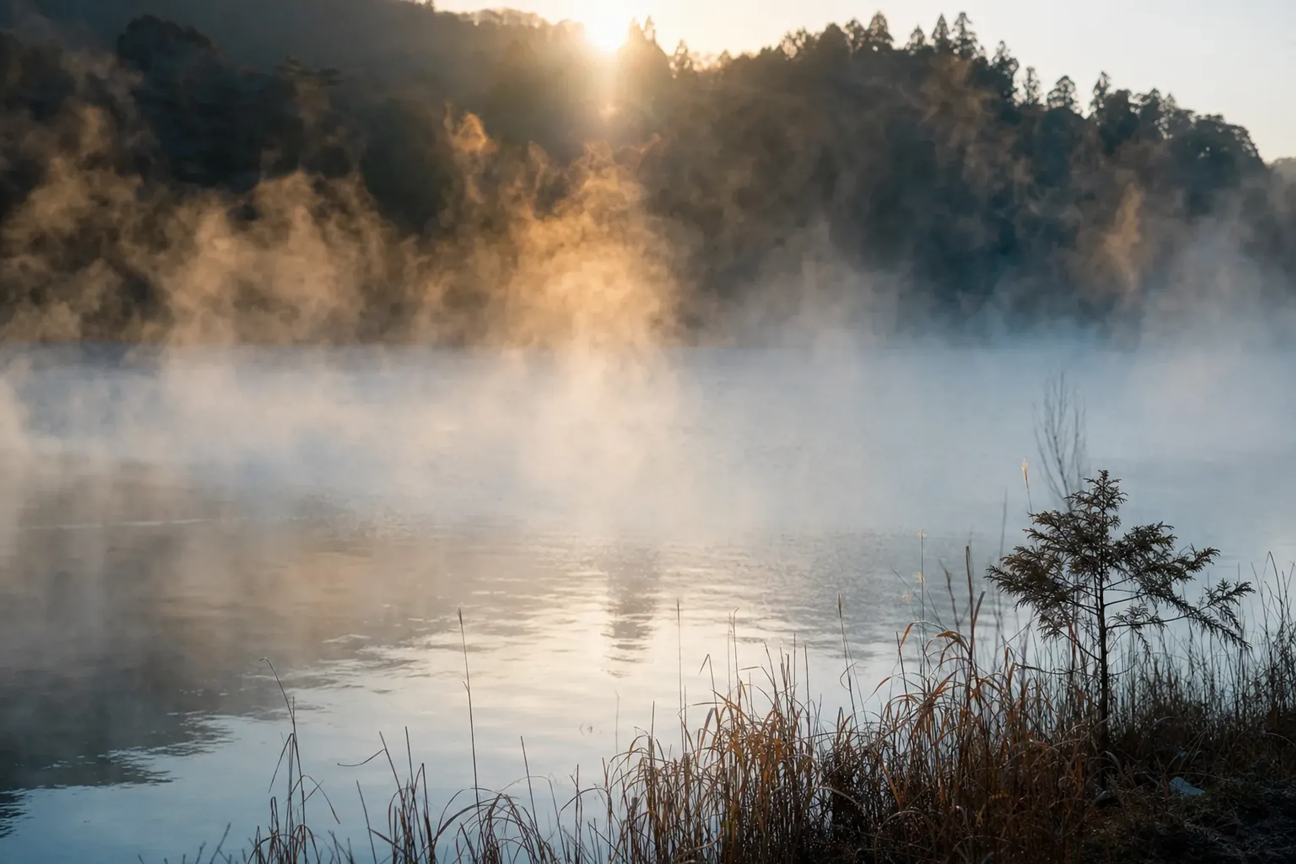 Steam rising from the spring-fed surface of Lake Kinrin on a cold winter morning in Yufuin, silent and empty at sunrise