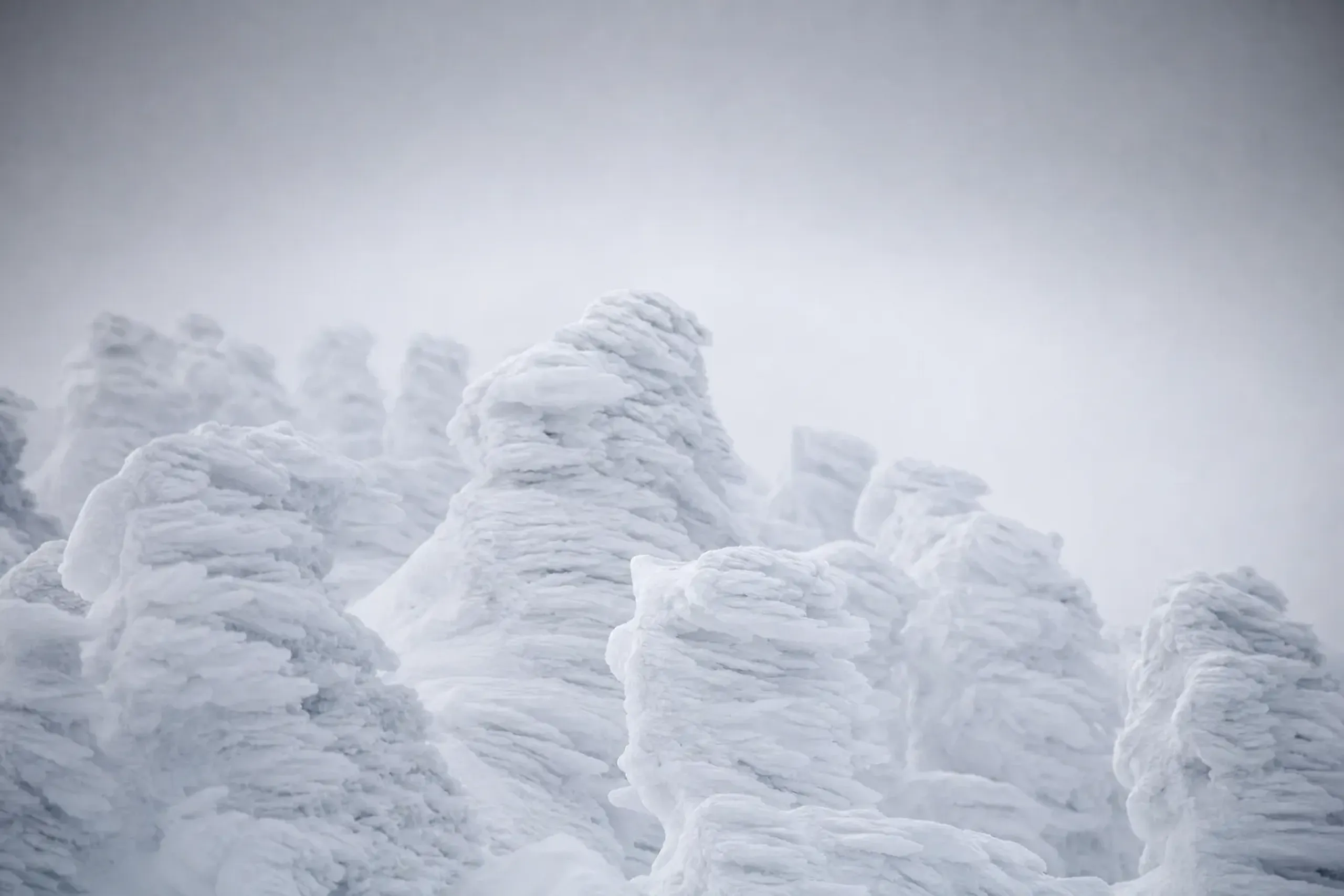 Wind- and ice-shaped juhyo (snow monsters) on Mt. Jizo in Zao