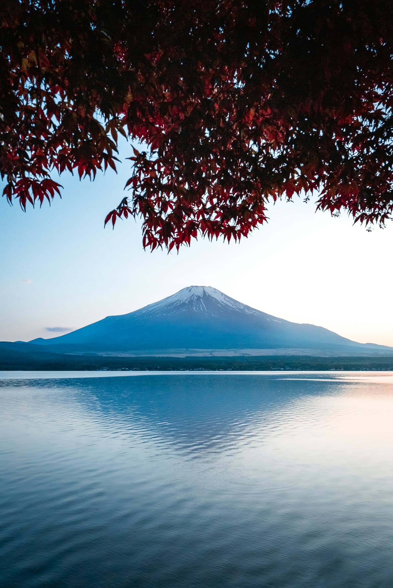 Autumn maple leaves over a lake and mountain