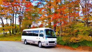 Micro bus Japan Royal Service-1-2