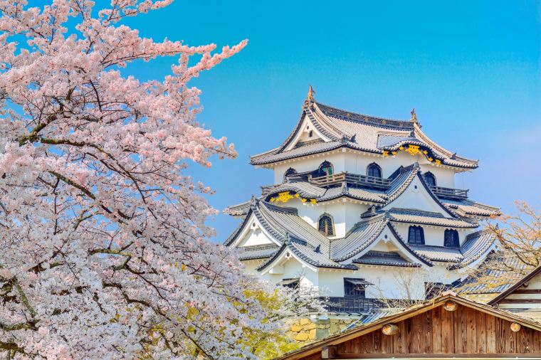 Hikone Castle