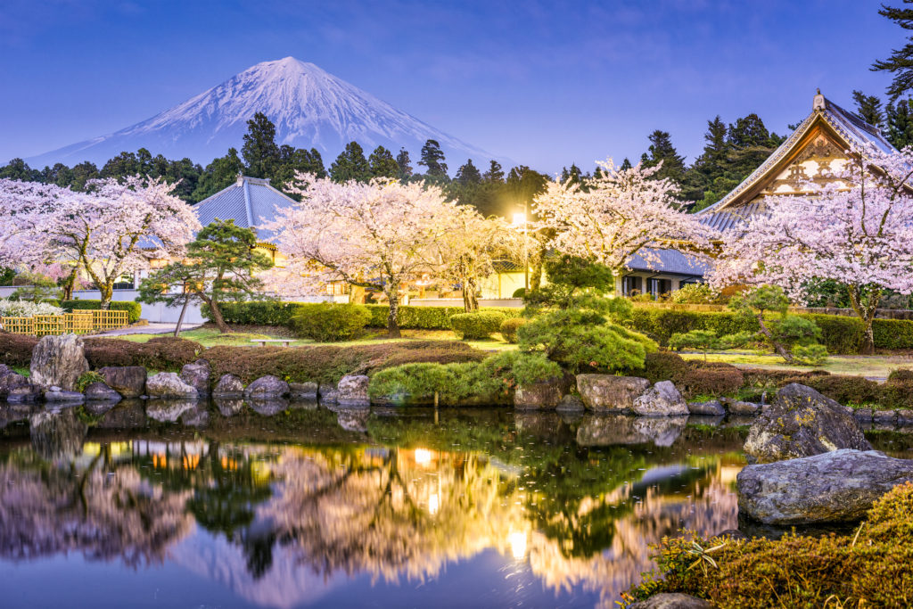 HomePageで準備している画像　桜　湖　富士山 ( ភ្នំហ្វូជិ )Fuji-Hakone-Izu National Park