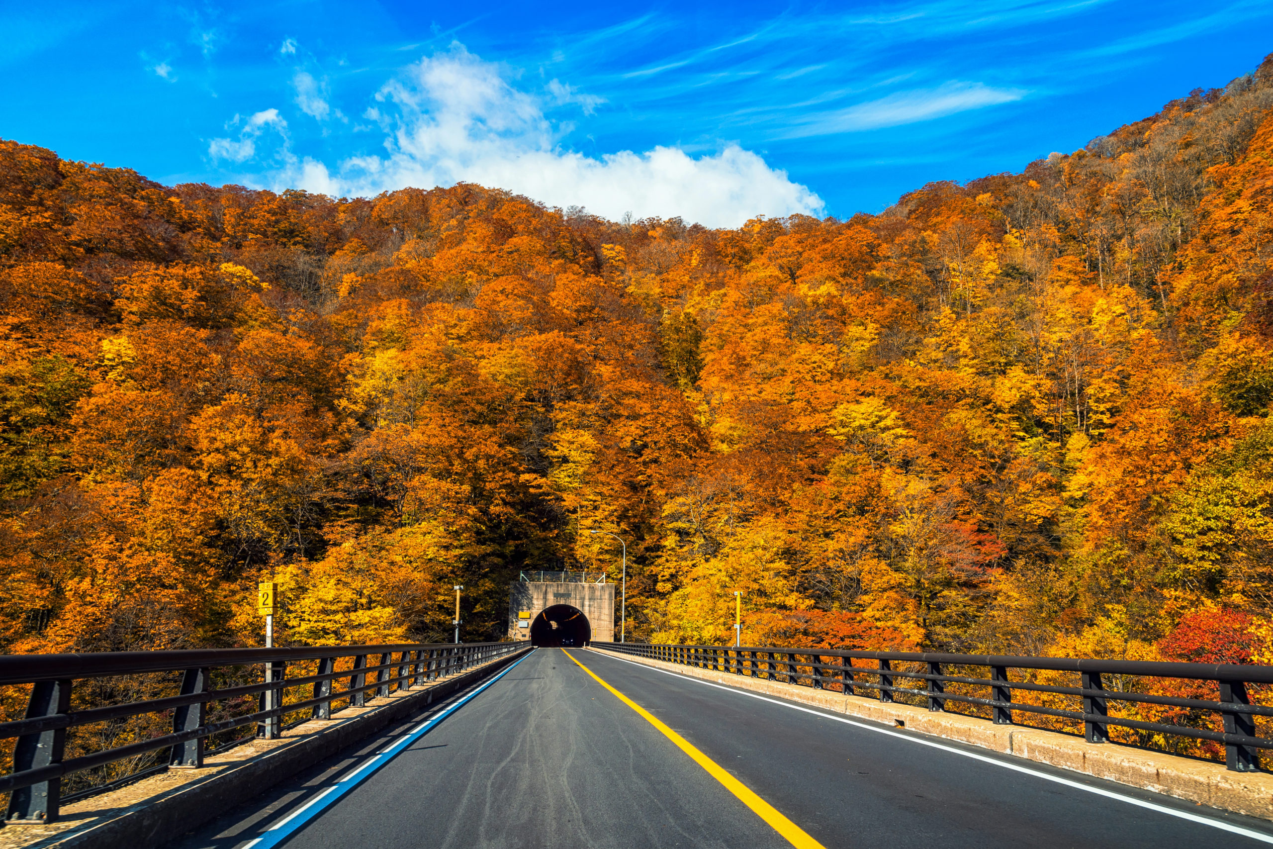 Landscape scene of Autumn season with car tunnel on the road in tohoku, japan, landscape and transportation concept