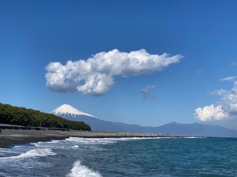 coast with FUJI mountain near