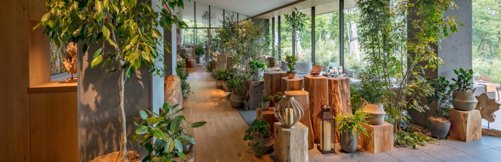 Private Onsen, Luxury