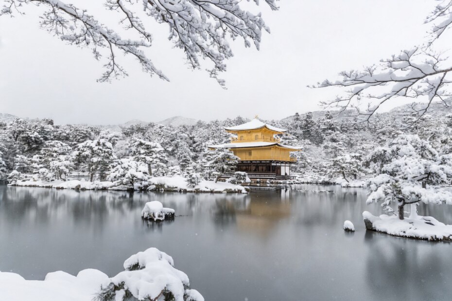 winter, luxury