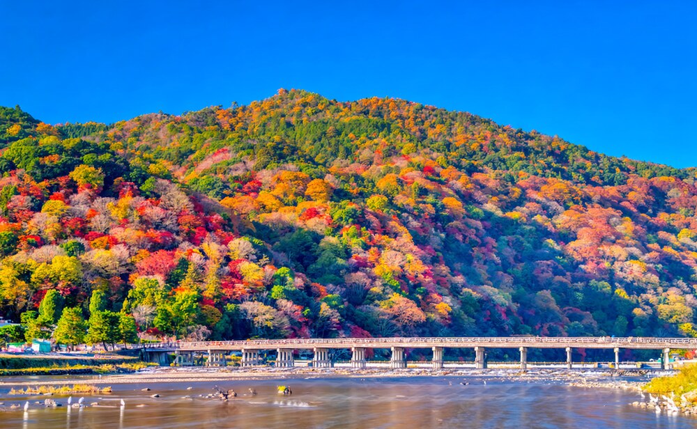 autumn, luxury
