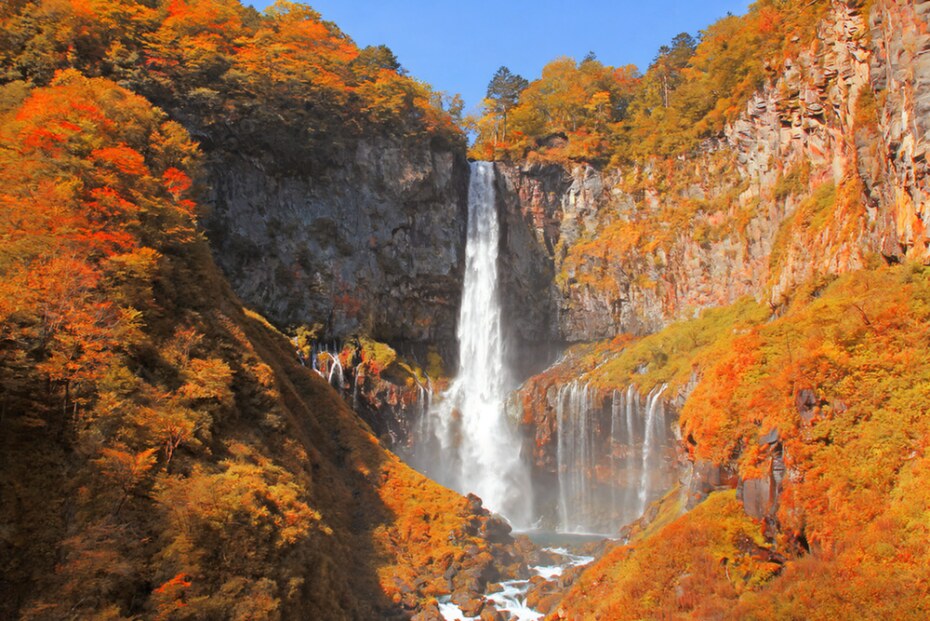 autumn, luxury