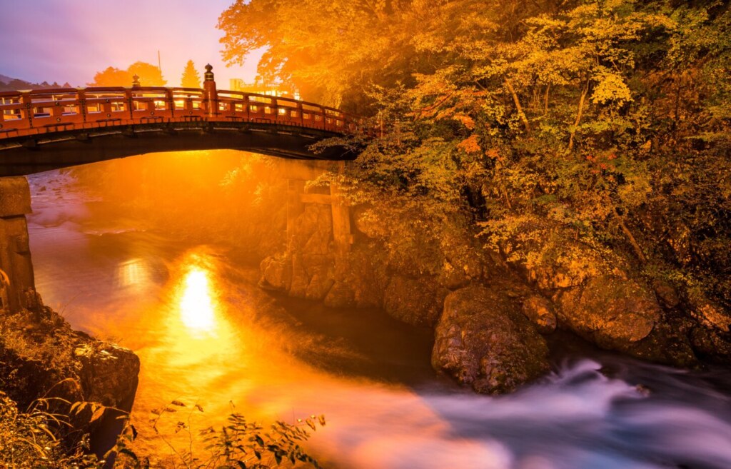 autumn, luxury