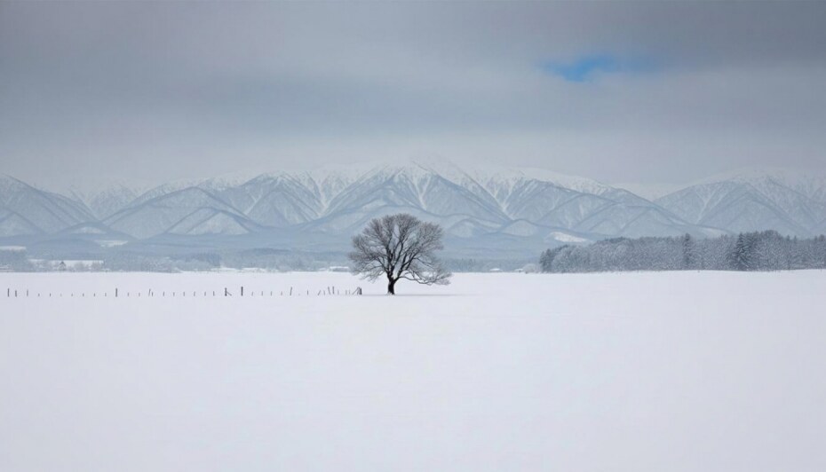 Private Japan Travel