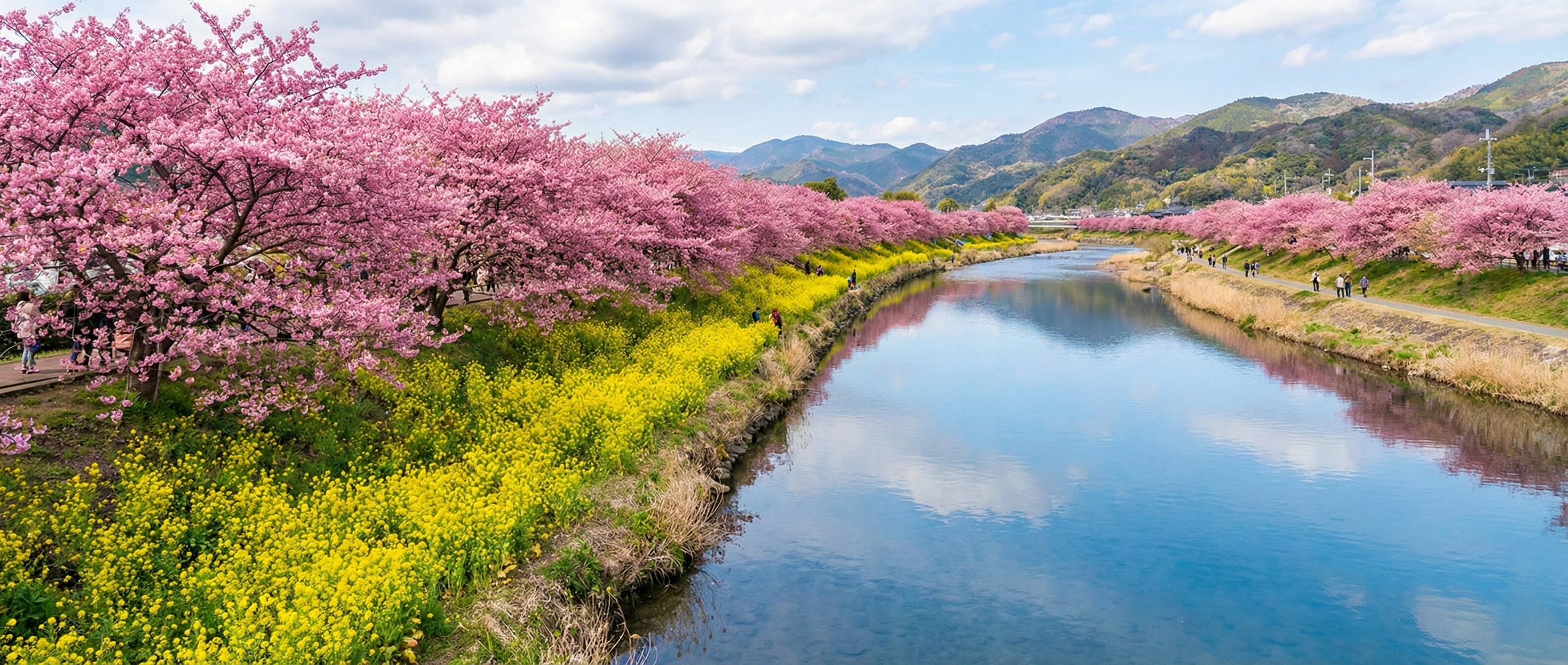 A stunning landscape showing the Kawazu River in Japan lined with deep pink early-blooming cherry trees and a brilliant carpet of yellow rapeseed flowers under a clear blue spring sky.