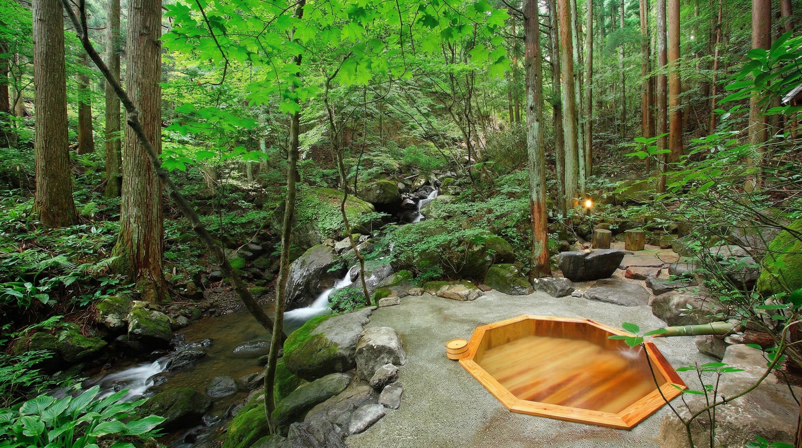 A serene, wooden outdoor hot spring bath surrounded by lush green trees and blooming cherry blossoms.