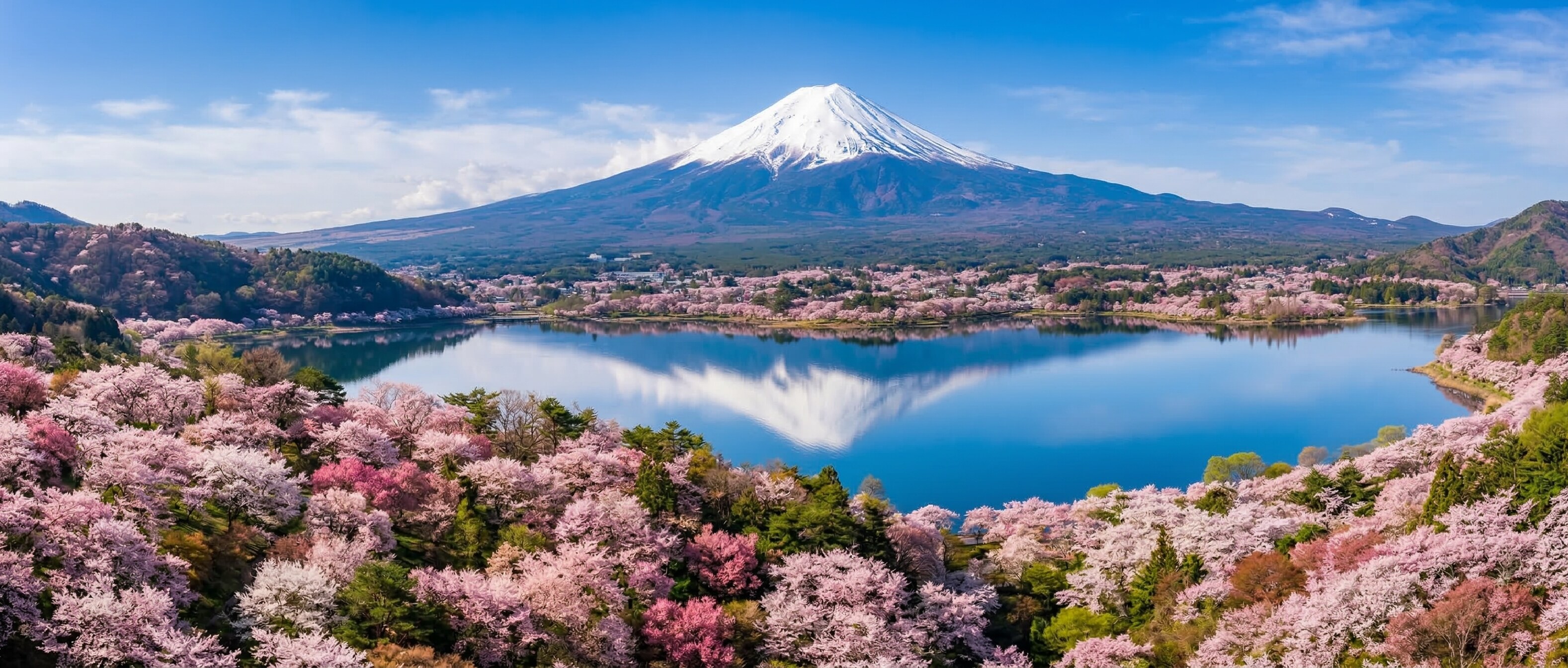 Aerial shot of Mount Fuji with a snow-capped peak, surrounded by a landscape of blooming cherry blossoms and a blue lake.