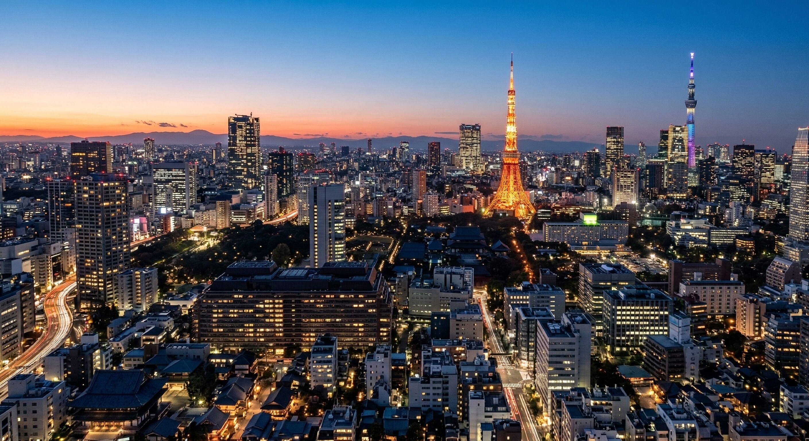 A stunning aerial view of the Tokyo skyline as seen from a private charter helicopter.