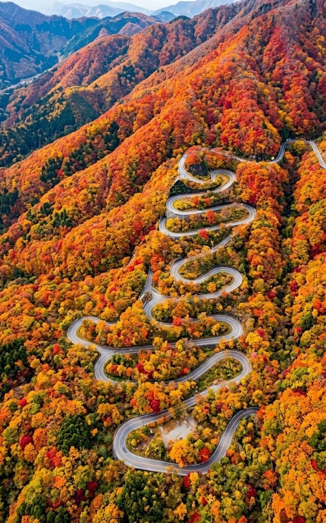 Winding mountain road cuts through a dense autumn forest in vivid orange, red and yellow hues.