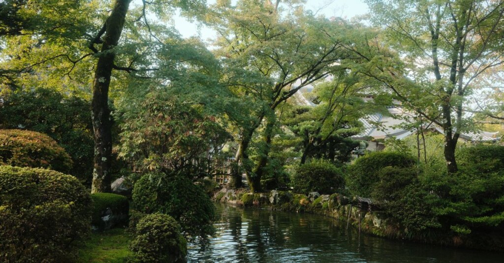Serene garden scene with a calm pond, trimmed shrubs, and trees framing a traditional building in the background.