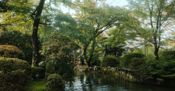 Serene garden scene with a calm pond, trimmed shrubs, and trees framing a traditional building in the background.