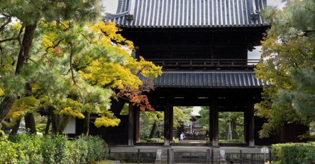 Traditional wooden temple gate with a tiled roof framed by autumn foliage in a tranquil garden