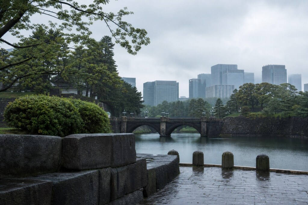 Stone arched bridge over a calm river in a green park with modern city skyscrapers in the distance on a cloudy, rainy day.