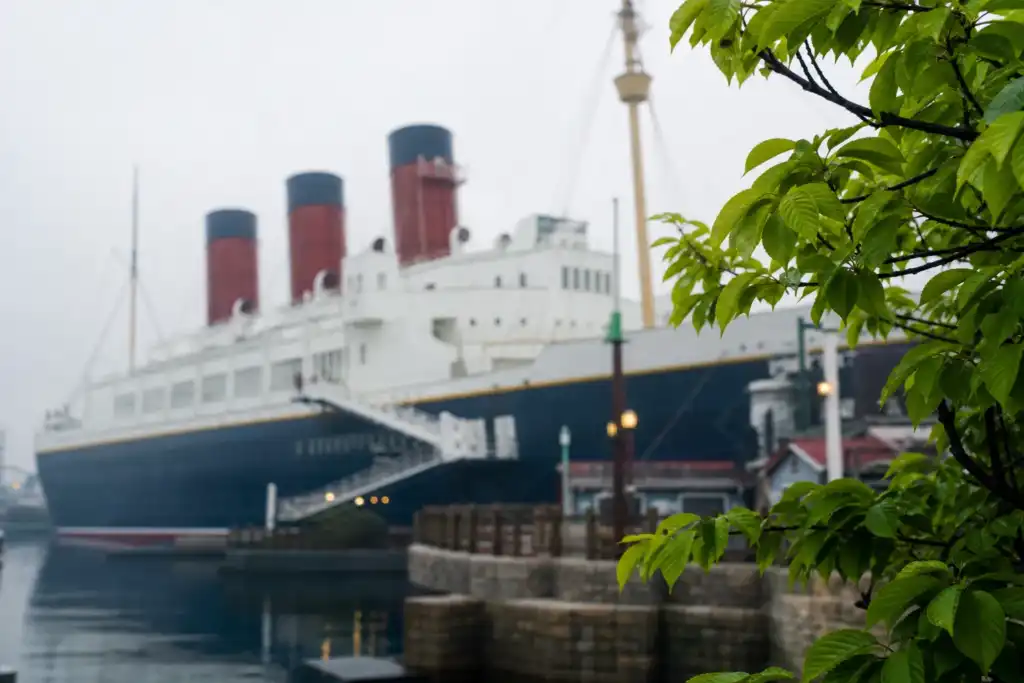 Large white steamship with three red funnels docked at a harbor, seen through green leafy branches.