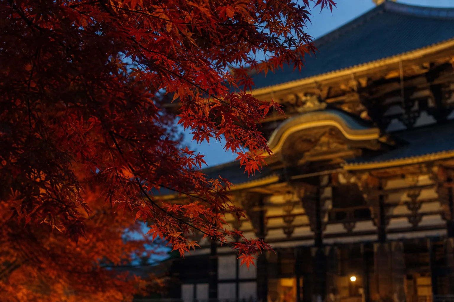 The Daibutsuden Great Buddha Hall at Tōdai-ji, one of the world's largest wooden structures