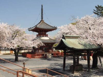 Kawagoe Saitama Kanto Destinations Travel Japan - Japan Natio
