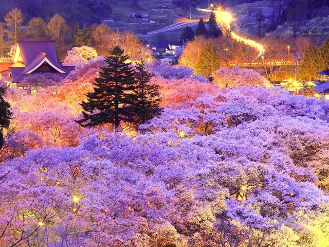 Takato Castle Park