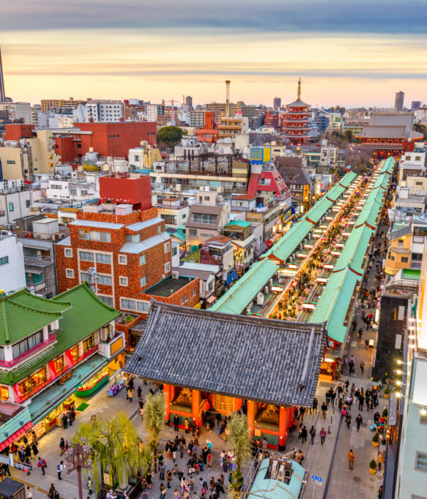Asakusa, Tokyo, Japan cityscape. (gate reads: "Kobunachō", the historic name of the town)