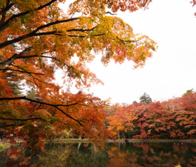 autumn-colours-of-kumoba-pond-karuizawa-japan-2023-08-08-18-06-17-utc