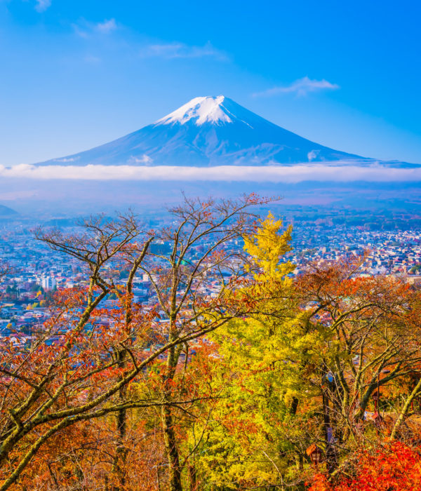 Beautiful landscape of mountain fuji around maple leaf tree with white cloud and blue sky in autumn season at Yamanashi Japan