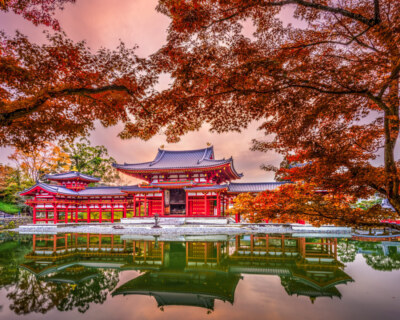 Byodoin Temple in Kyoto Uji, Kyoto, Japan at Byodoin Temple during autumn season.