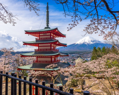 Scenic Beauty
