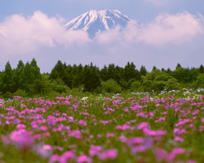 fuji-mount-2022-11-01-04-32-47-utc