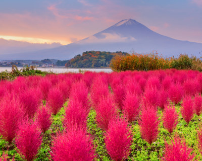 Mt Fuji