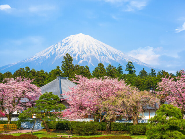 Fujinomiya, Shizuoka, Japan with Mt. Fuji Fujinomiya, Shizuoka, Japan with Mt. Fuji in spring.