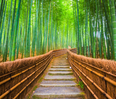 Spiritual and Cultural Epicenter